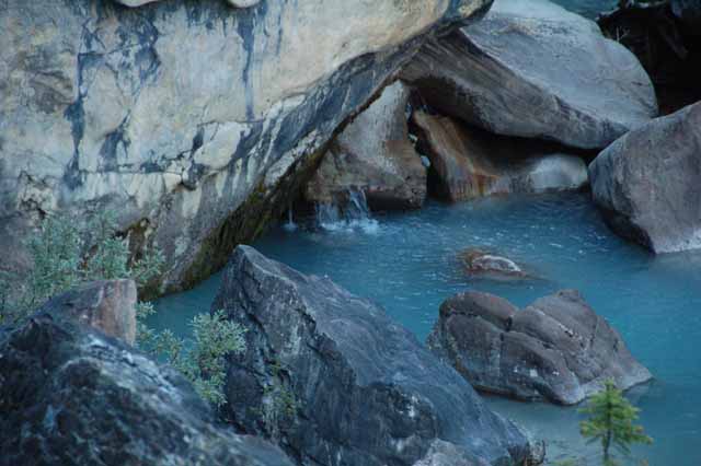 roadside pond, Yoho NP